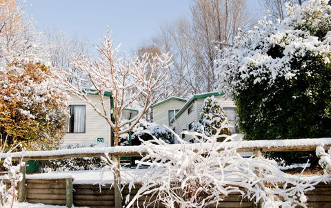 Discovery Parks â€“ Jindabyne - Hotel Gold Coast 1