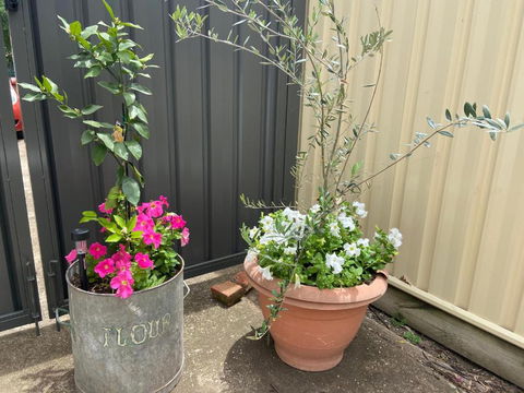 Bendigo Backpackers - Hotel Gold Coast 2