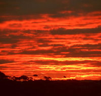 Tennessee Hill Chalets - Hotel Gold Coast