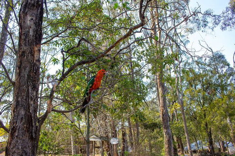 Kalimna Woods Cottages - Hotel Gold Coast 2