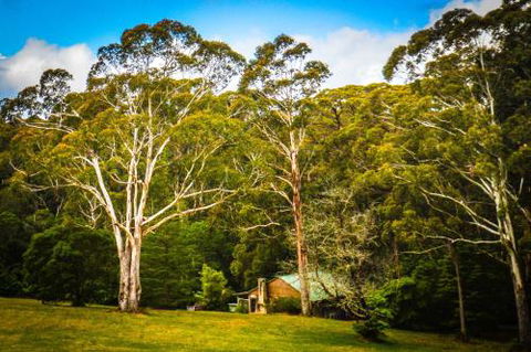 Ghost Hill Road Retreat - Hotel Gold Coast 6