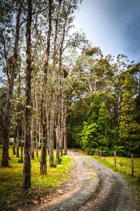 Ghost Hill Road Retreat - Hotel Gold Coast 2