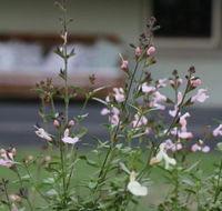 Serendipity on Allyn - Hotel Gold Coast