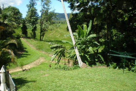 Daintree Village Hideaway - Hotel Gold Coast 5