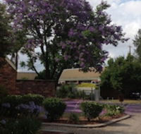 Belvoir Village Motel  Apartments Wodonga - Hotel Gold Coast