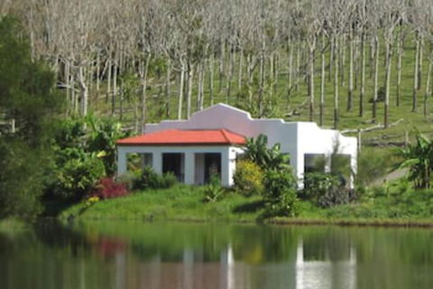 Spicy Oasis - Hotel Gold Coast 5