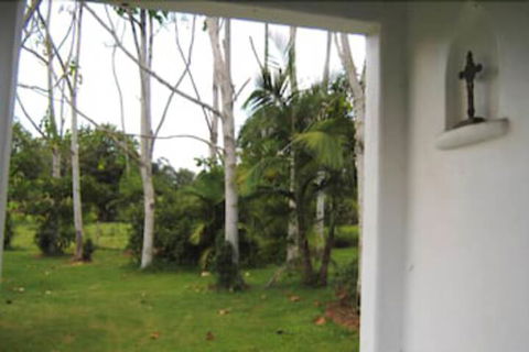 Spicy Oasis - Hotel Gold Coast 3