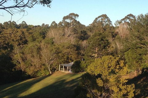 Jacaranda Cottages - Hotel Gold Coast 3