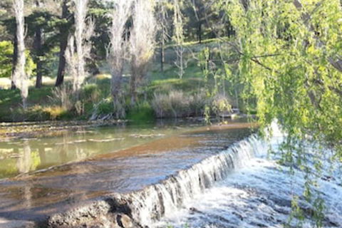 Avocados Accommodation - Hotel Gold Coast 0