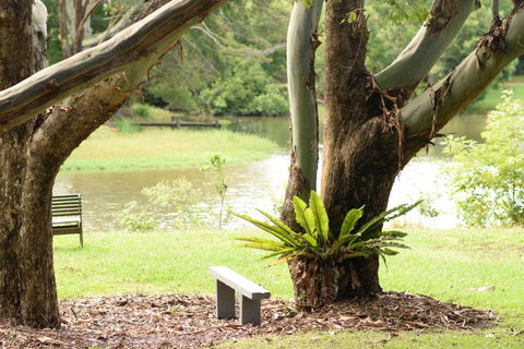 McCarthy Lake House - Hotel Gold Coast 4