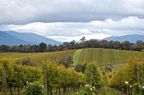 Mount Evelyn Retreat - Hotel Gold Coast 2