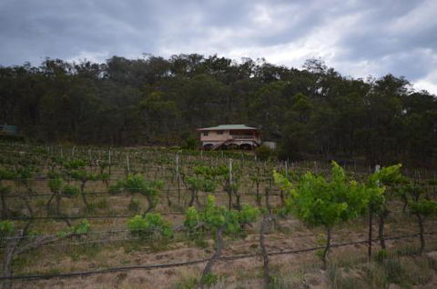 Sancerre Estate - Hotel Gold Coast 6