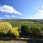 Sancerre Estate - Hotel Gold Coast 0