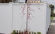 Connells Motel & Serviced Apartments - thumb 0