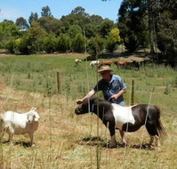 Country Cottages of Bridgetown - Hotel Gold Coast