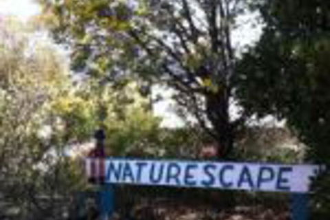 Naturescape - Hotel Gold Coast 0