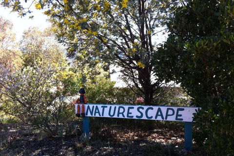 Naturescape - Hotel Gold Coast 7