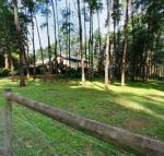 Fernglade on Menzies - Hotel Gold Coast