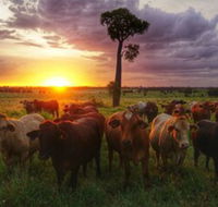 Myella Farm Stay - Hotel Gold Coast