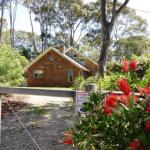 Dalmeny NSW Hotel Gold Coast