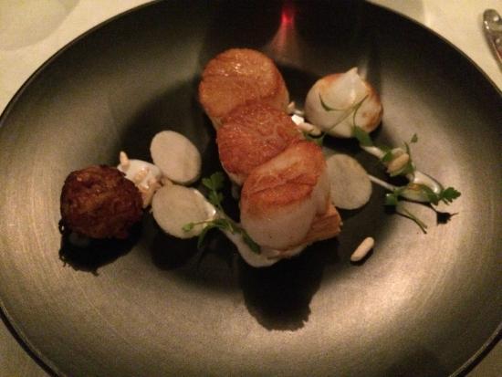 Clubs Noosa Heads QLD Hotel Gold Coast