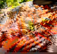 Table 30 - Hotel Gold Coast