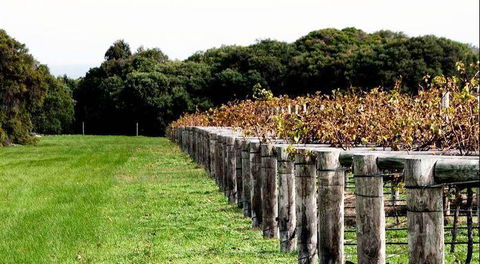 Arimia Restaurant And Winery - Hotel Gold Coast 5