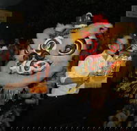 Lion Dance