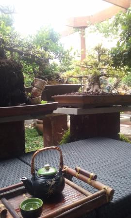 Sweet Grass Bonsai Nursery Cafe - Hotel Gold Coast 0