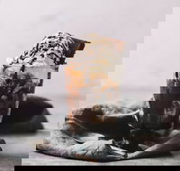 Only Mine - Hotel Gold Coast