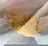 George's Seafood of Rosebud