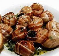 Little Snail - Hotel Gold Coast