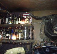 Shady Pines Saloon - Hotel Gold Coast