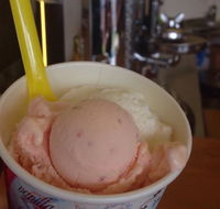 Bermagui Gelati Clinic - Hotel Gold Coast