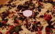 Oasis Pizza And Pasta - Torrensville - thumb 0