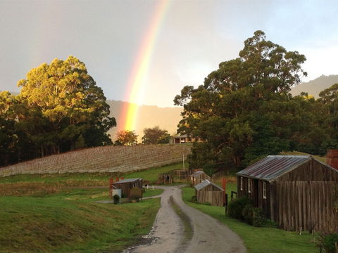 Hartzview Vineyard - Hotel Gold Coast 0