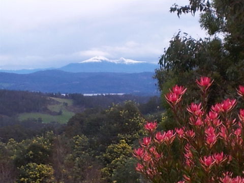 Hartzview Vineyard - Hotel Gold Coast 1