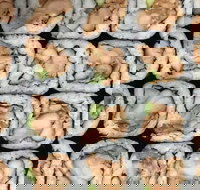 Sushi Pia - Hotel Gold Coast