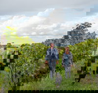 Ross Hill Wines