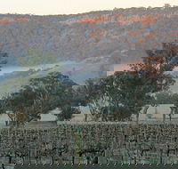 Wilksch Estate Wines
