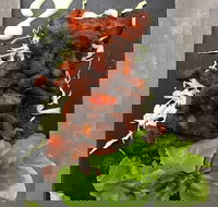 Royal India Restobar - Hotel Gold Coast