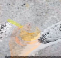 Mount Dandenong Hotel - Hotel Gold Coast