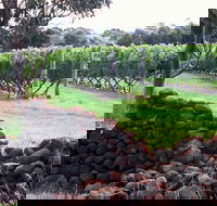 Spring Vale Vineyard - Hotel Gold Coast