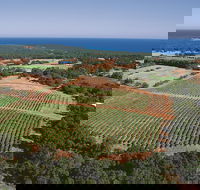 Wise Wine - Hotel Gold Coast