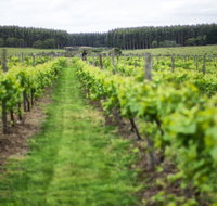 Suffoir Winery Brewery and Cidery - Hotel Gold Coast