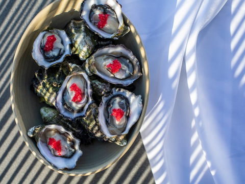 The Rocks - Restaurant, Bar, Pool Club - Hotel Gold Coast 1