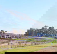 Blacklea Vineyard and Olive Grove - Hotel Gold Coast