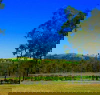 Degen Wines - Hotel Gold Coast
