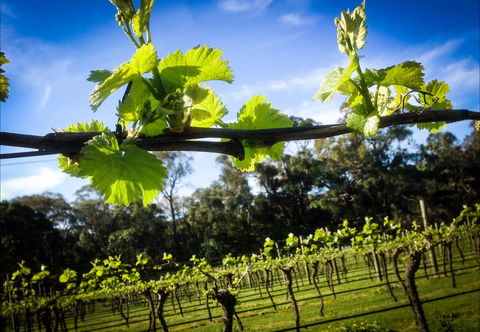 Michael Unwin Wines - Hotel Gold Coast 1