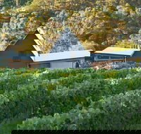 Two Bud Spur Vineyard - Hotel Gold Coast